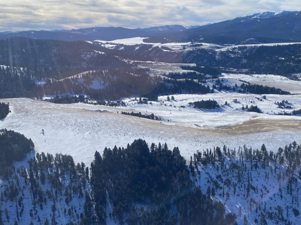 Winter Aerial view from Pintler Scenic Flight Tours